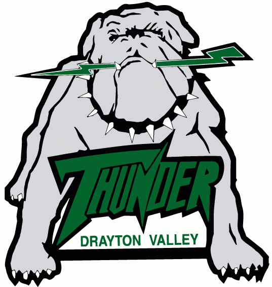 Drayton Valley Thunder 1998-Pres Primary Logo iron on transfers for T-shirts